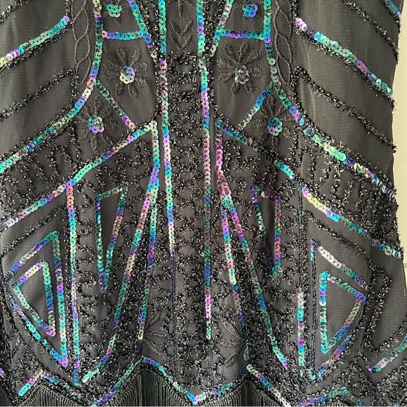 BABEYOND 1920s Flapper VNeck Sequin Beaded Roaring 20s Gatsby Fringe Party Dress - Picture 6 of 11